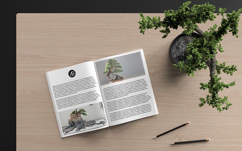 66 25 premium and free magazine psd mockups